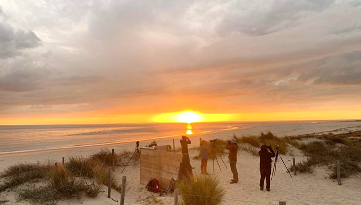 Participez à l'étude de la migration à la Pointe du Cap Ferret !